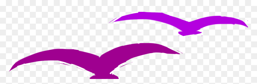 Asia Pacific Icon Sea Gull, HD Png Download - sea gull png
