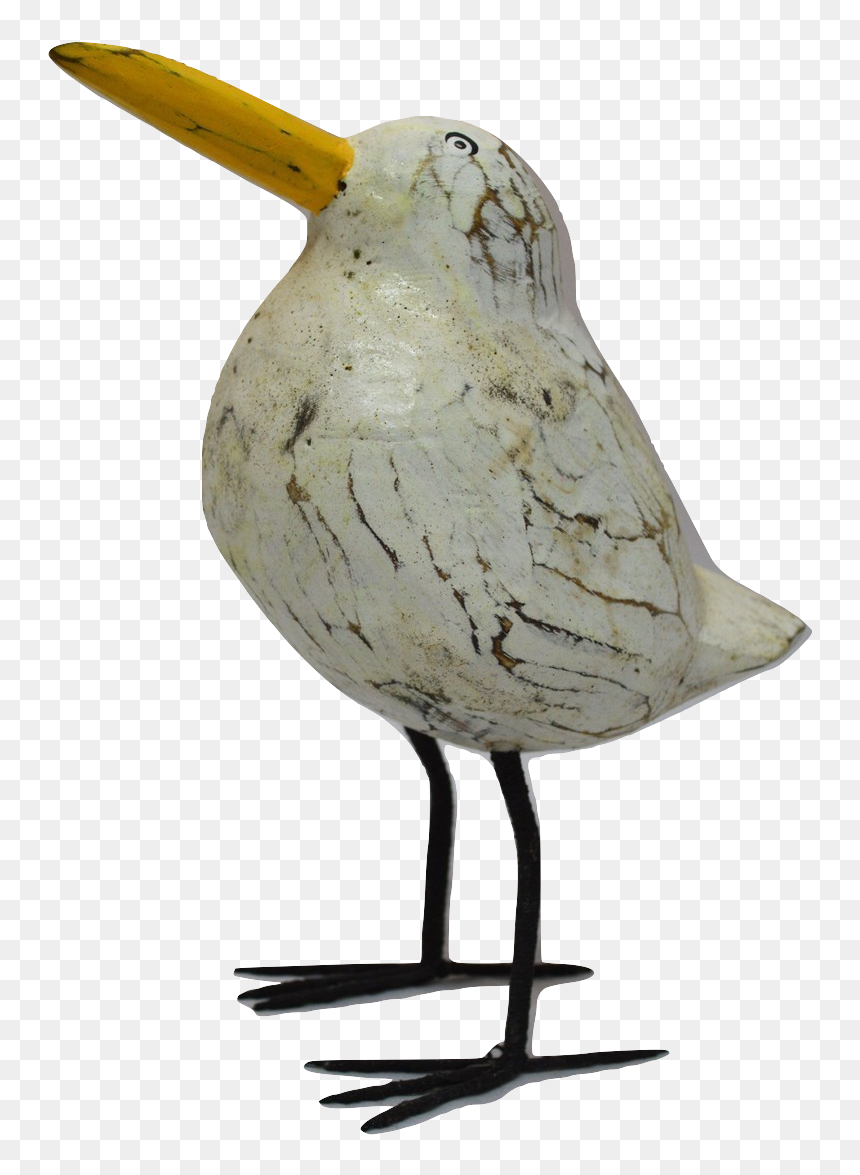 Shorebird, HD Png Download - seagul png