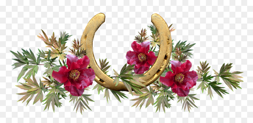 Clip Art Melbourne Cup, HD Png Download - herraduras png