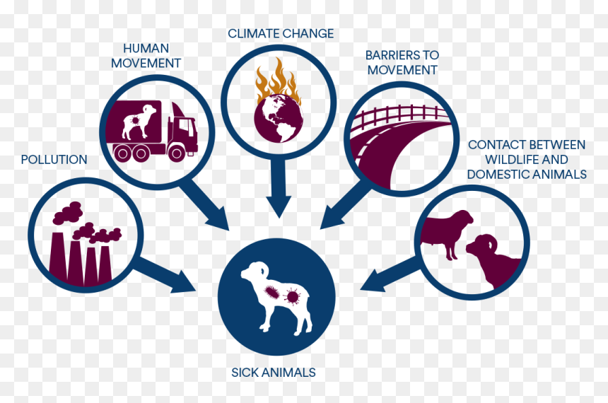 Transparent Ecology Png - Graphic Design, Png Download - ecology png