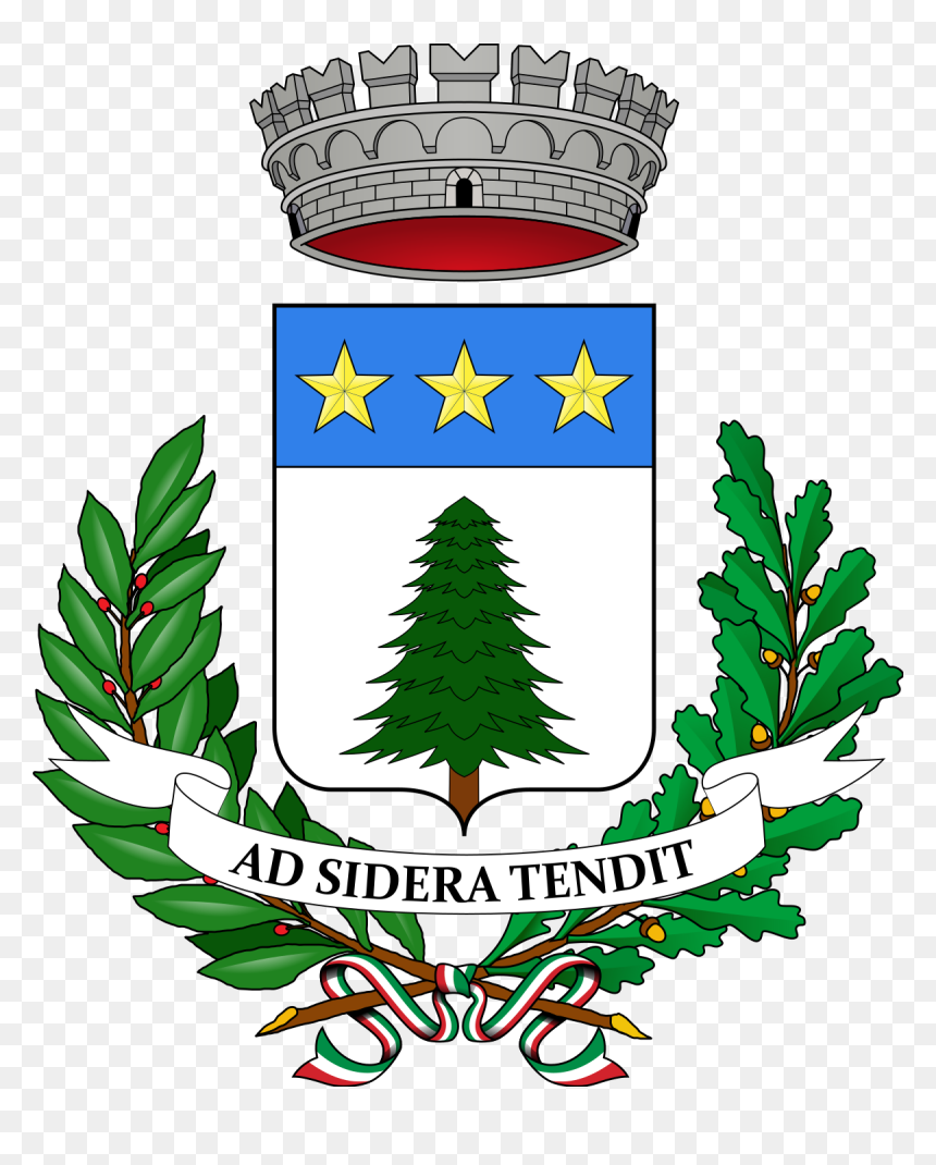 Escudo Asti, HD Png Download - pino png