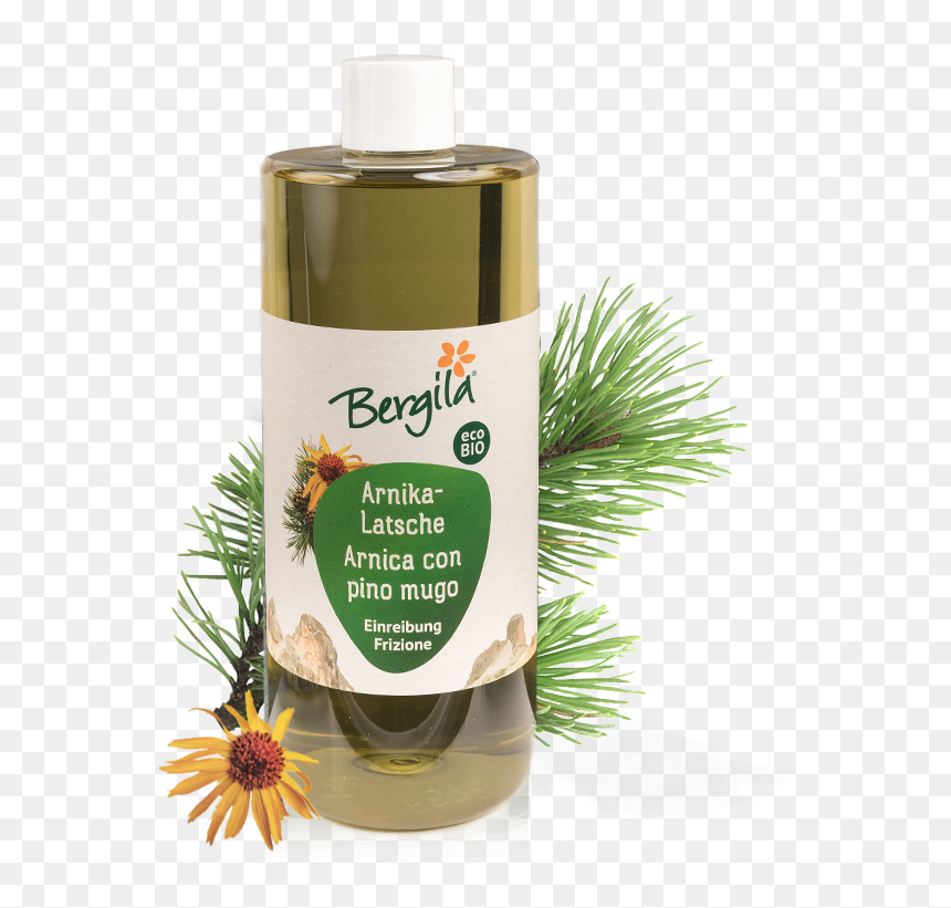 Bergila, HD Png Download - pino png