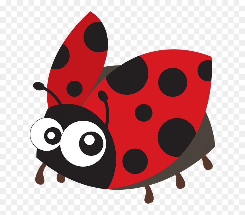 Minus Ladybugs, Animais - Ladybug, HD Png Download - lady bugs png