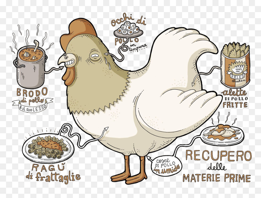Foster, Life, Europeancommission, Vet, Foodwaste, Training, - Cartoon, HD Png Download - pollo png