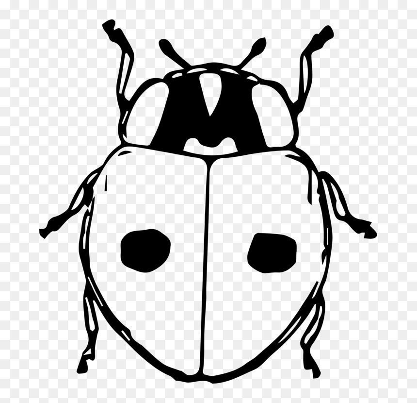 Line Art,monochrome Photography,ladybird - Bug Hut Clip Art Black And White, HD Png Download - lady bugs png