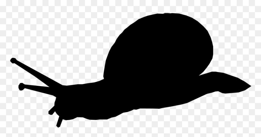 Snail Silhouette Transparent Background, HD Png Download - slow png
