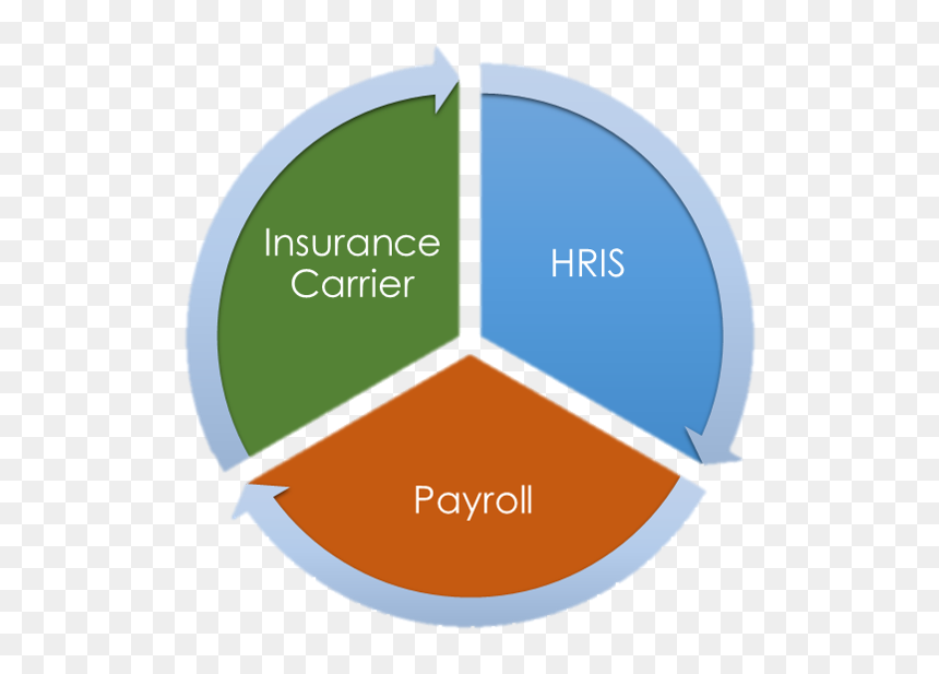 70 20 10 Pie Chart Learning, HD Png Download - hr png
