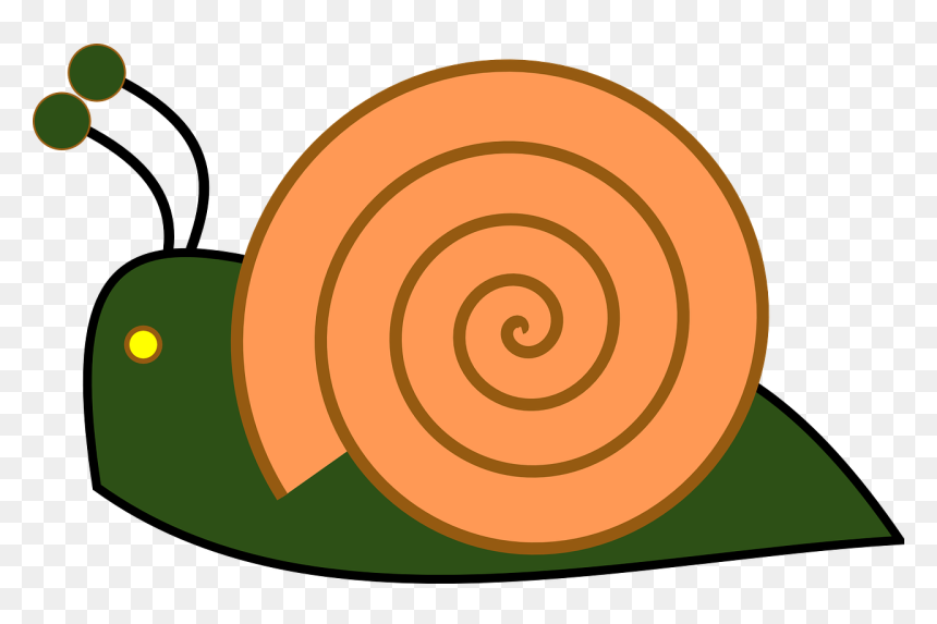 Caracol Clipart, HD Png Download - slow png
