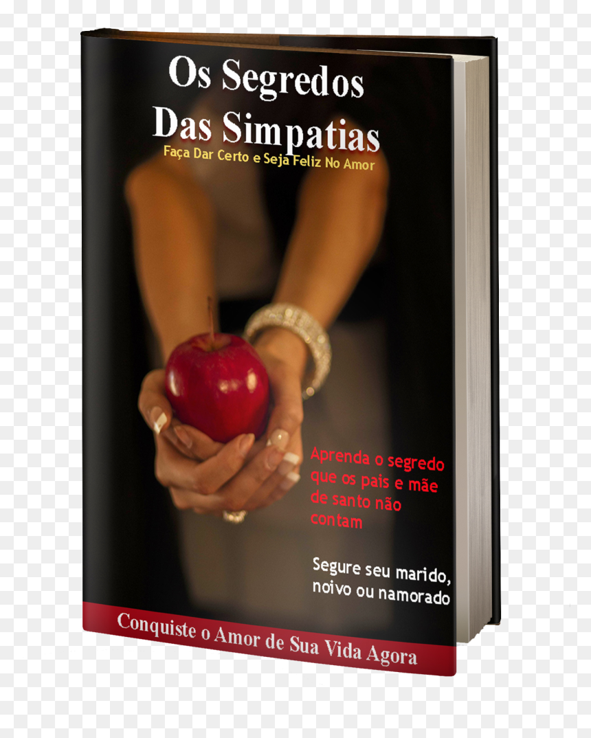Flyer, HD Png Download - livro png