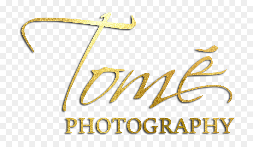 Calligraphy, HD Png Download - tome png