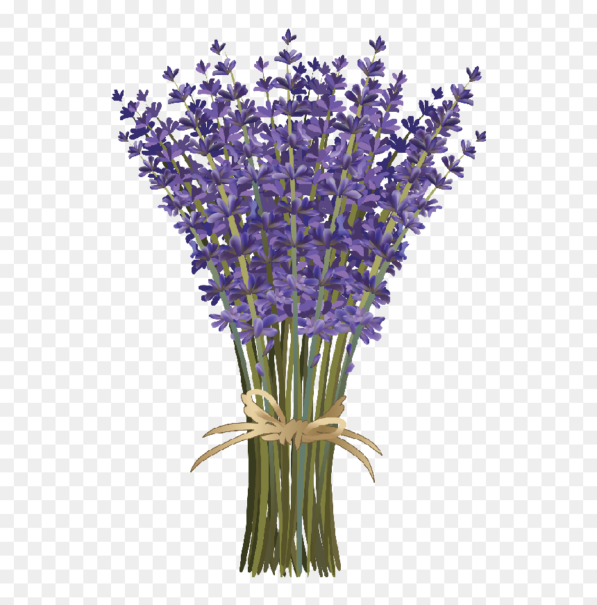 Lavender Clipart, HD Png Download - lavender sprig png
