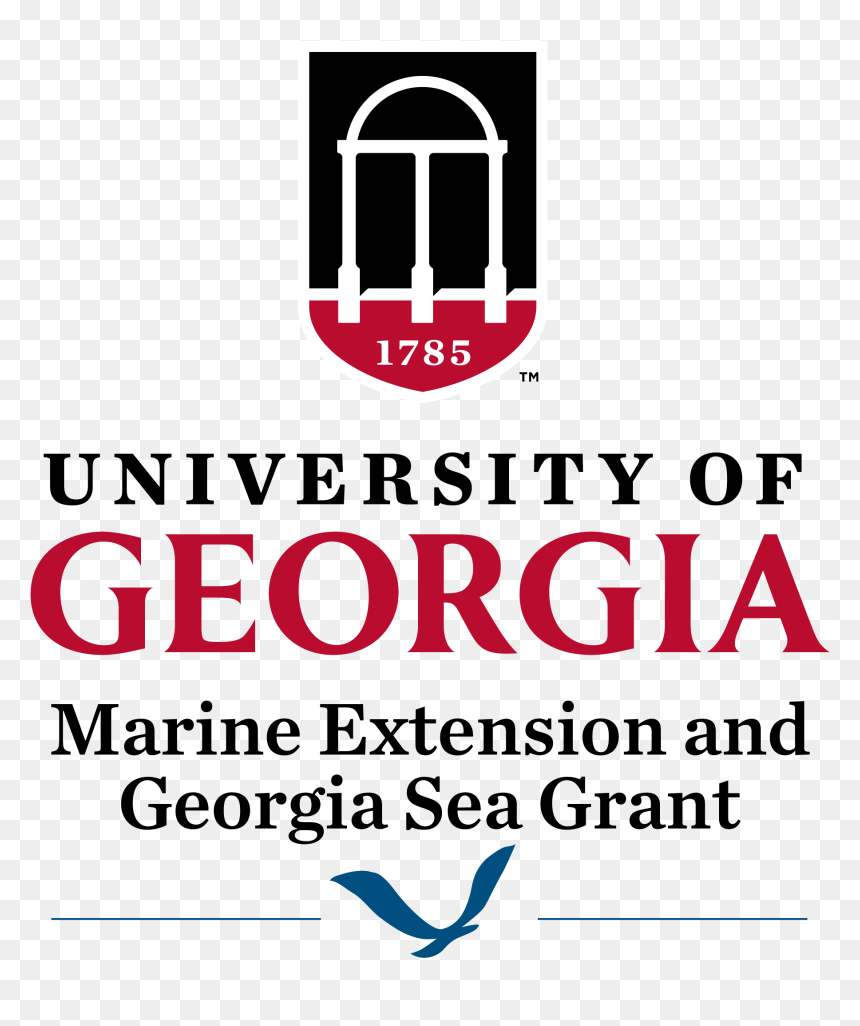 University Of Georgia Lapel Pin - Marine Extension And Georgia Sea Grant, HD Png Download - chrome.png