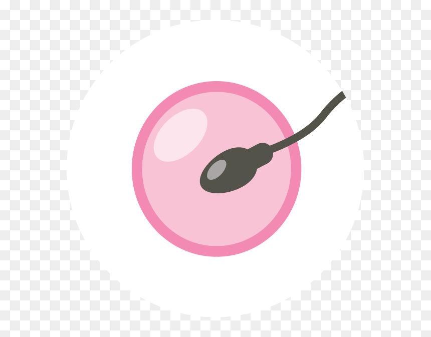 Transparent Clip Art Of Female Uterus - Circle, HD Png Download - twitter icon circle png