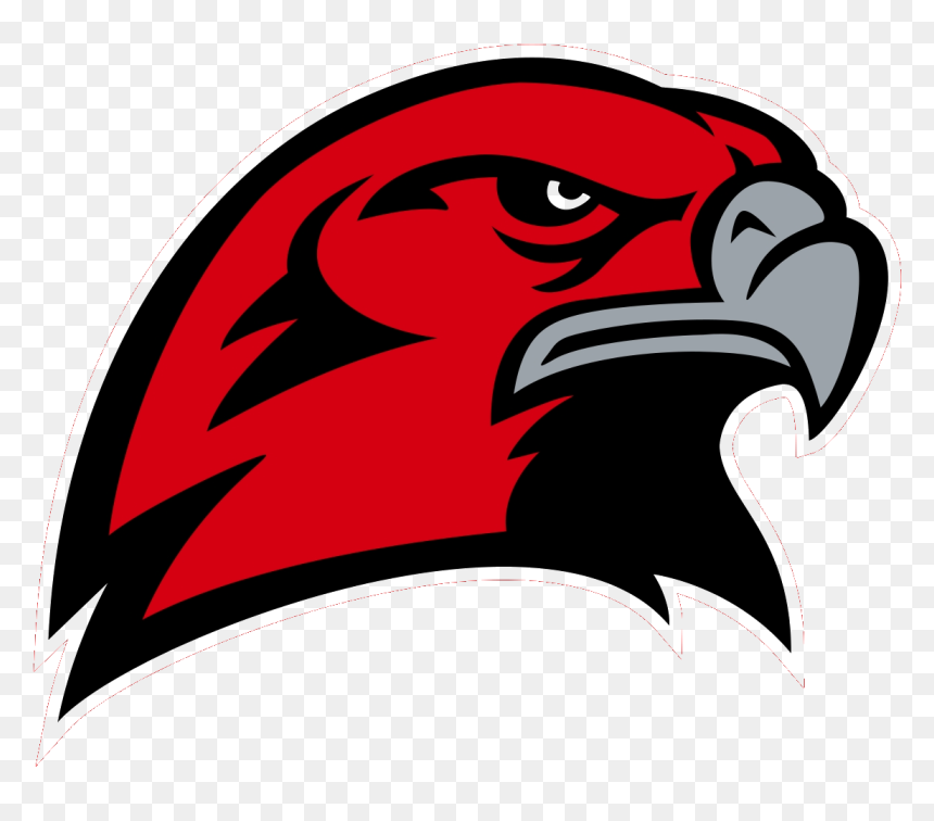 The Hamburg Area Hawks Defeat The Pottstown Trojans - Bozeman Hawks, HD Png Download - hawks png