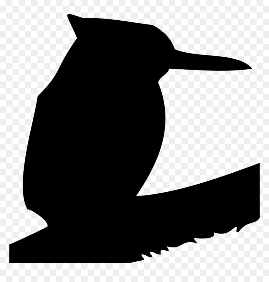 Hawks And Falcons Browse - Illustration, HD Png Download - hawks png