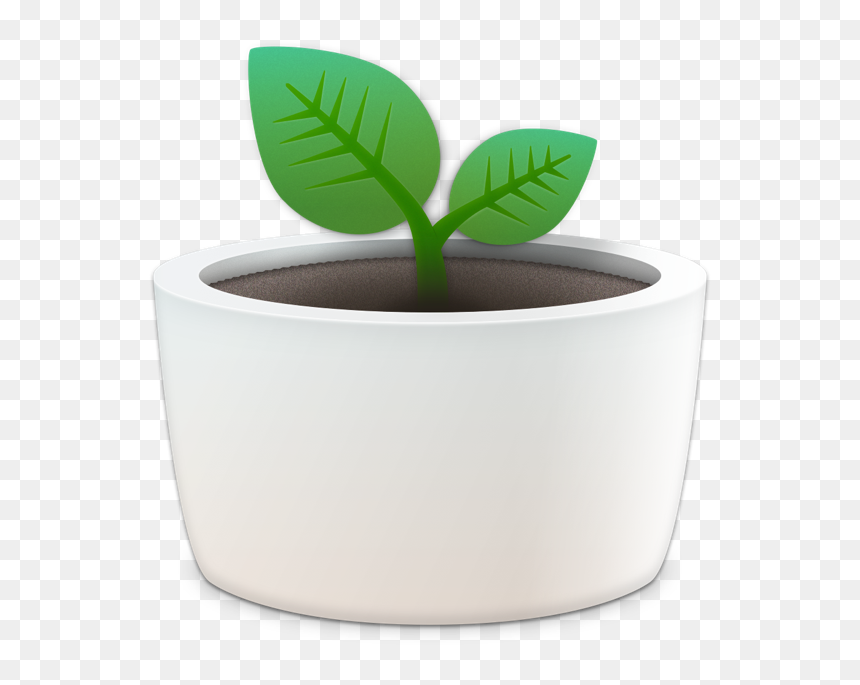 Flowerpot, HD Png Download - checkbook png