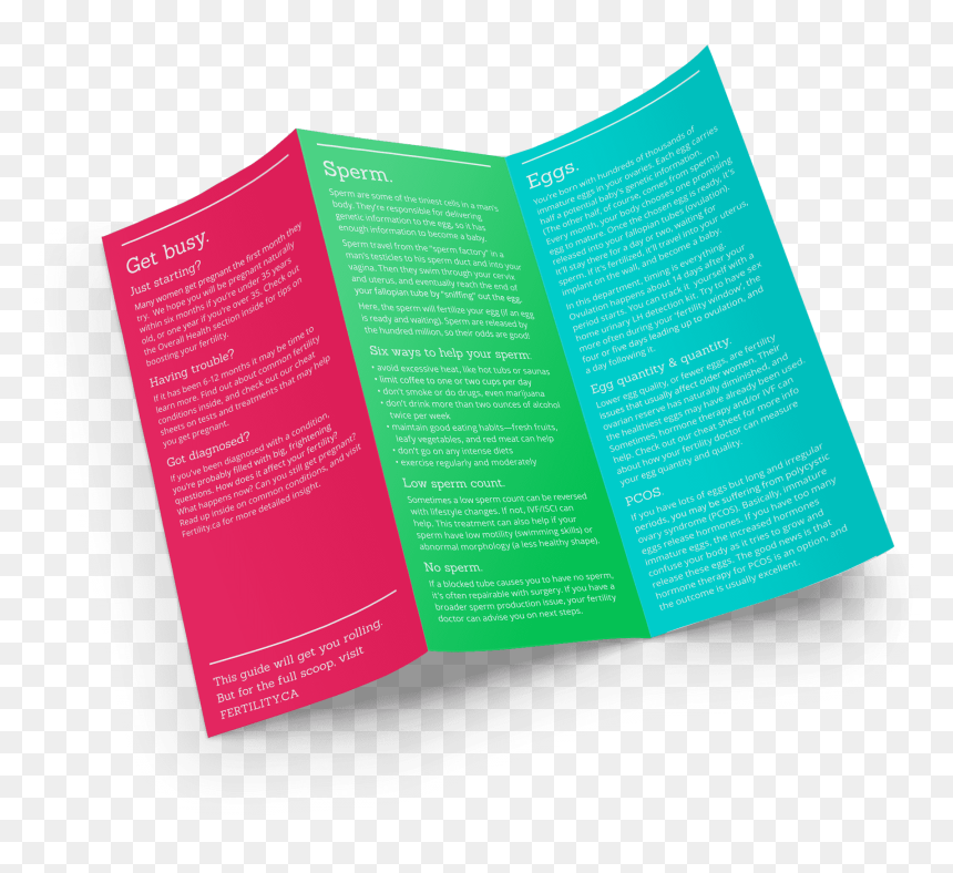 Trifold Presentation Mockup Vol 6 Part - Wedding Crashers, HD Png Download - part png