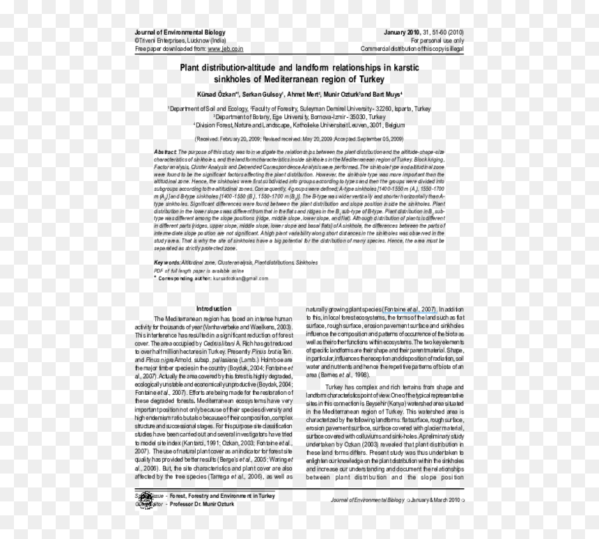 Folio Twelve From Burchard Of Sion's De Locis Ac Mirabilibus, HD Png Download - sinkhole png