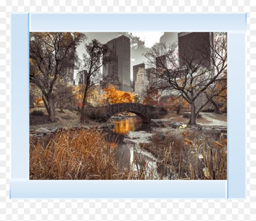 Central Park Wall Mural, HD Png Download - central park png