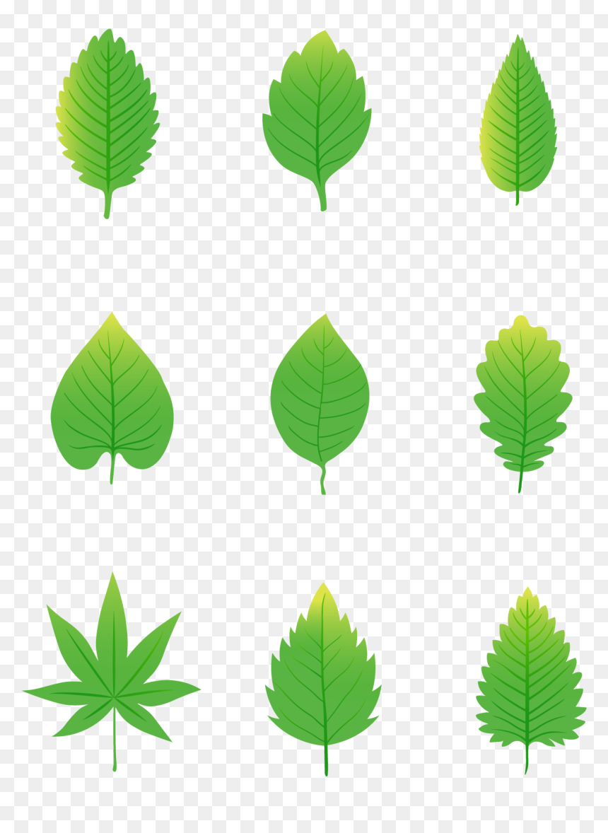 Simplicity Cartoon Green Leaves Elements Png And Vector - Green Leaves Cartoon, Transparent Png - leaves pile png