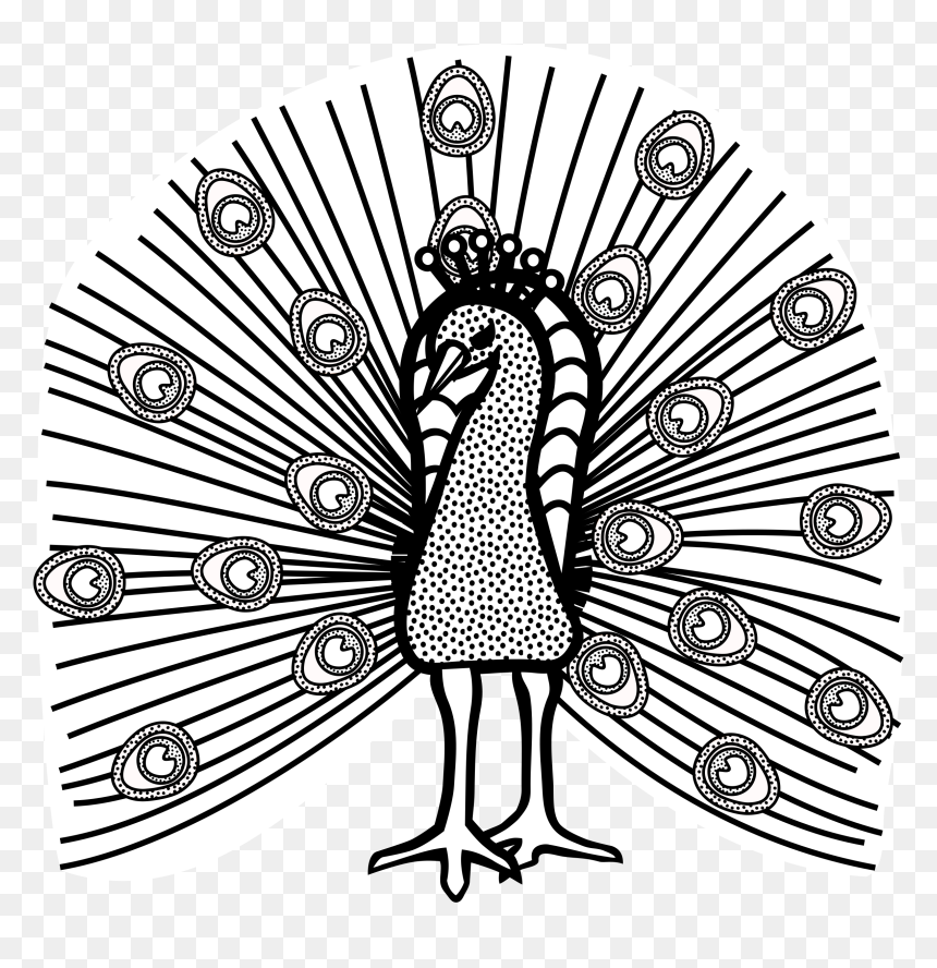 This Free Icons Png Design Of Peacock Lineart , Png - Peacock Clipart Black & White In Png, Transparent Png - lineart png