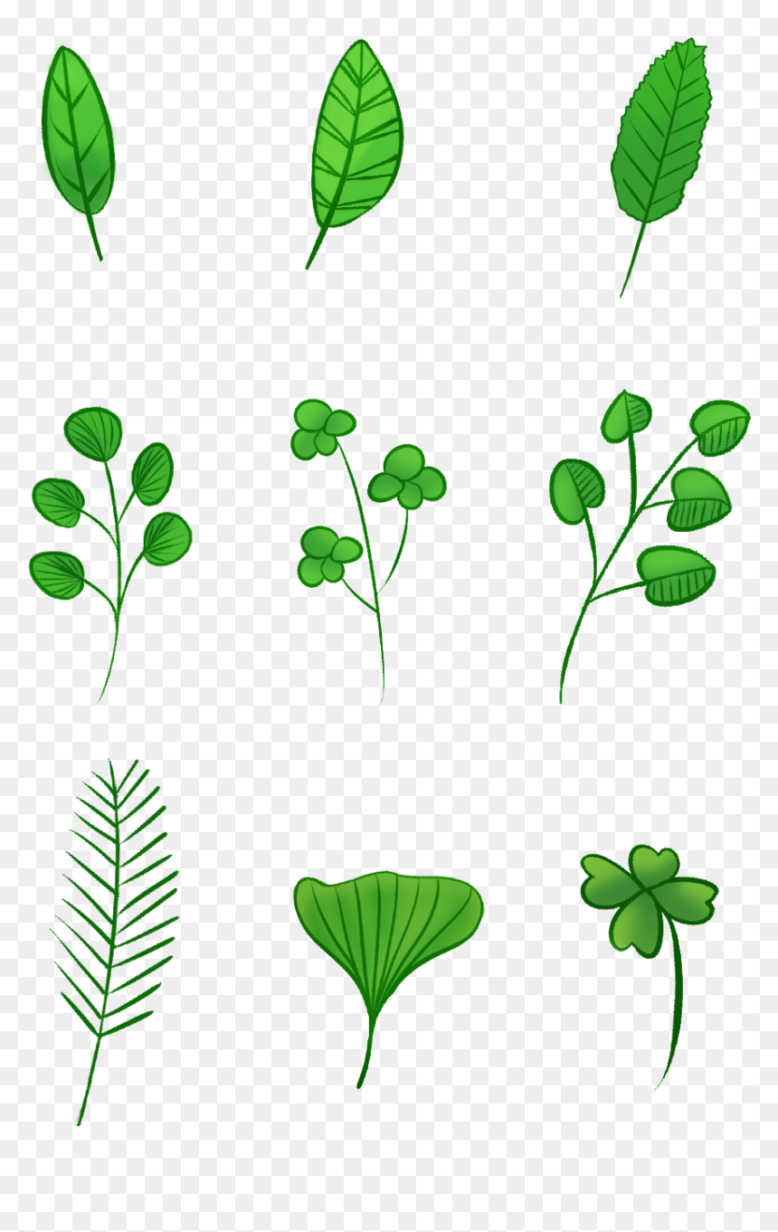 Transparent Vector Leaves Png - पत्तियों के चित्र, Png Download - hand drawn square png