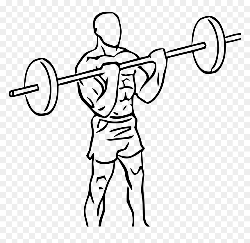 Transparent Weights Clipart - Biceps Curl Png, Png Download - weightlifter png