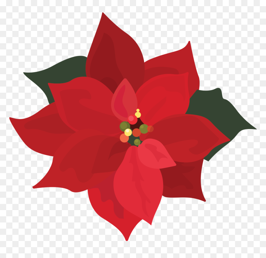Png Download , Png Download - Poinsettia Clip Art Png, Transparent Png - poinsettias png