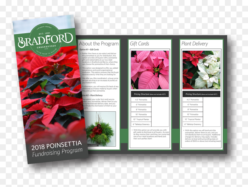How To Order - Poinsettia, HD Png Download - poinsettias png