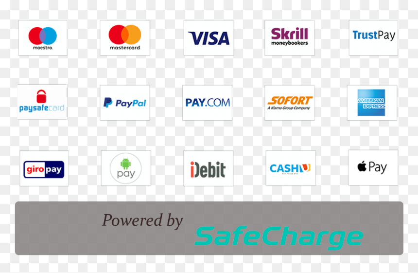 Payment Visa - Visa, HD Png Download - payment options png