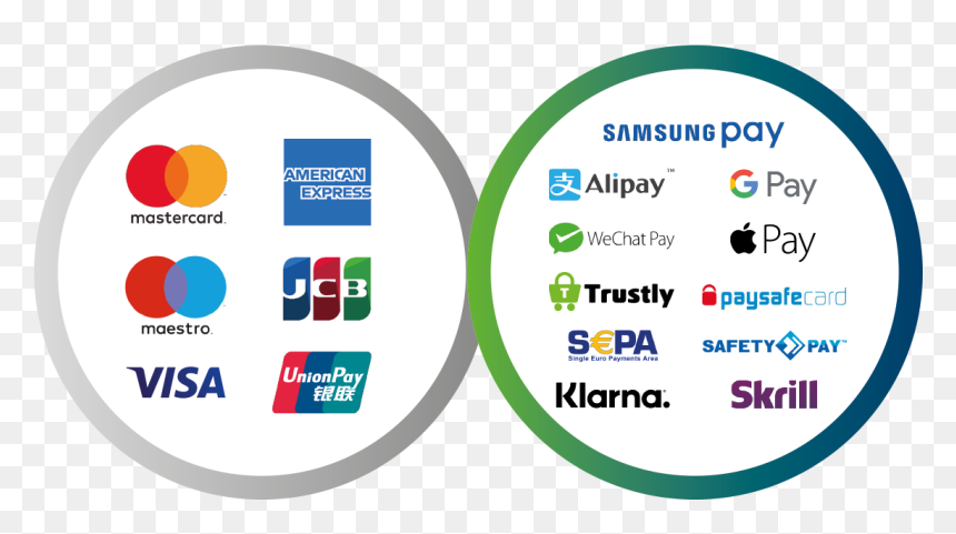 Omni - Visa, HD Png Download - payment options png