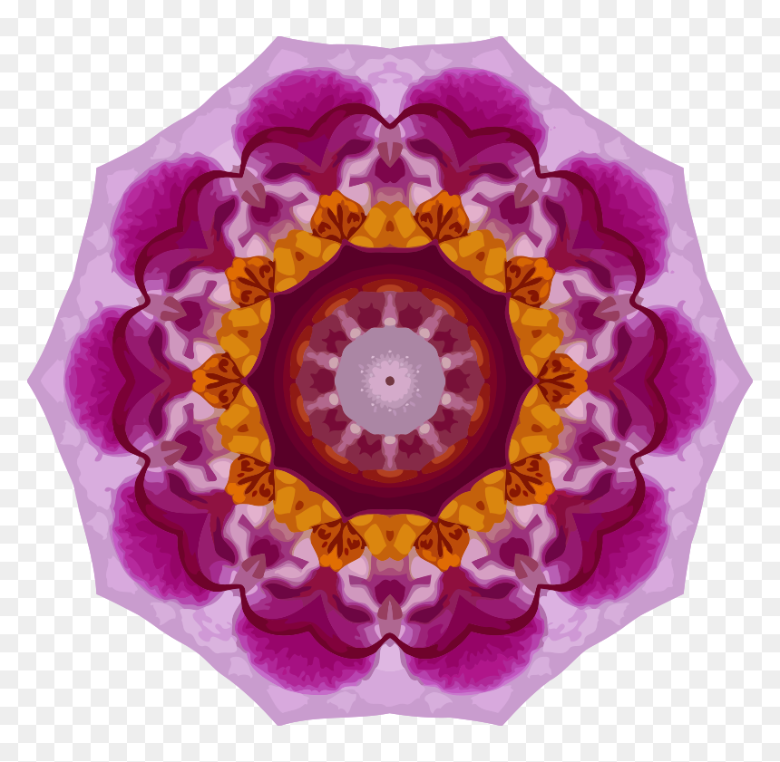 Orchid Kaleidoscope, HD Png Download - pink orchid png