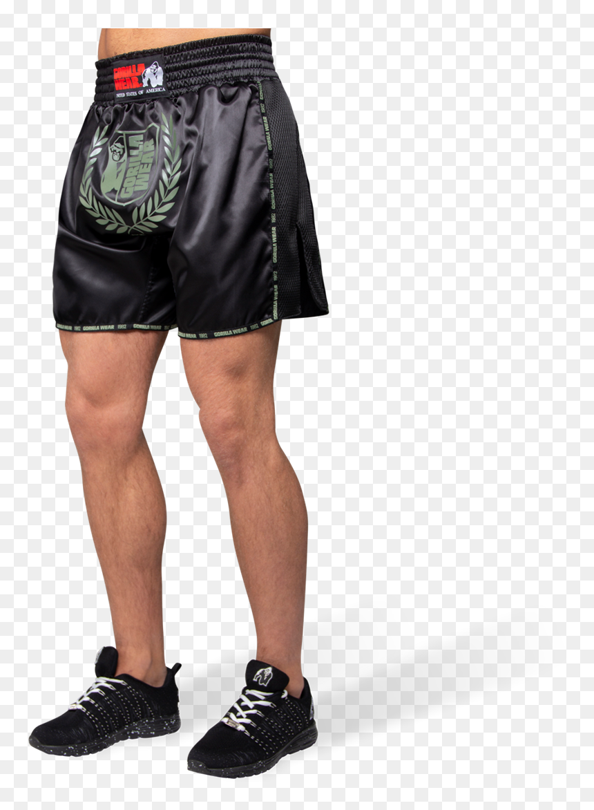 Murdo Muay Thai/kickboxing Shorts - Muay Thai Shorts, HD Png Download - kickboxing png