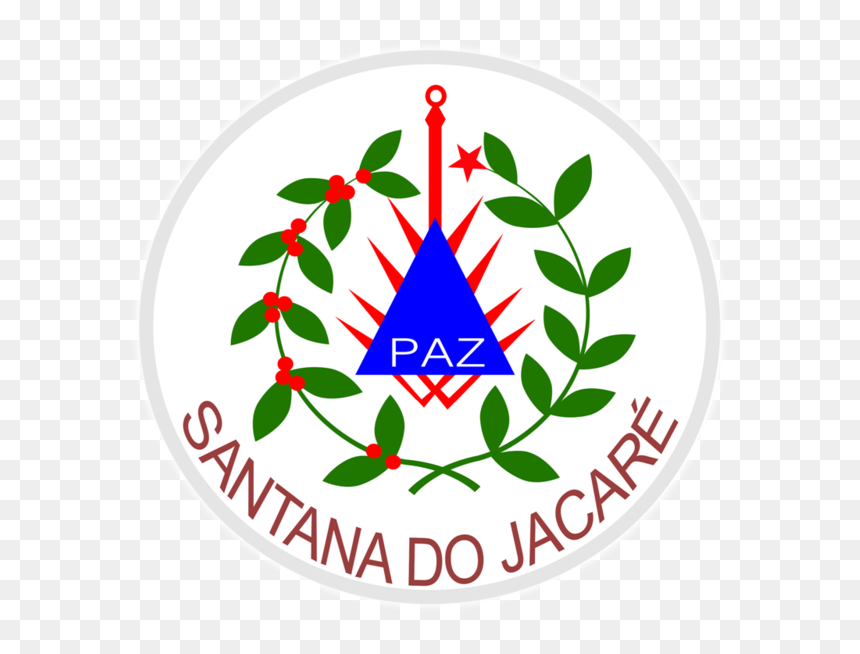 Transparent Bandeira Usa Png - Bandeira De Santana Do Jacaré, Png Download - bandeira estados unidos png