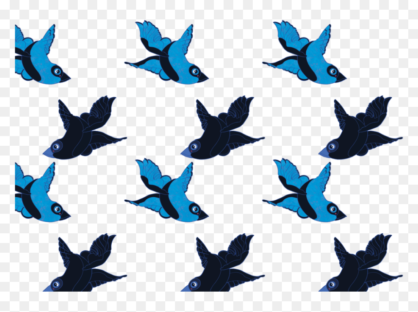 Tutorial Pattern - Flock, HD Png Download - mallard png