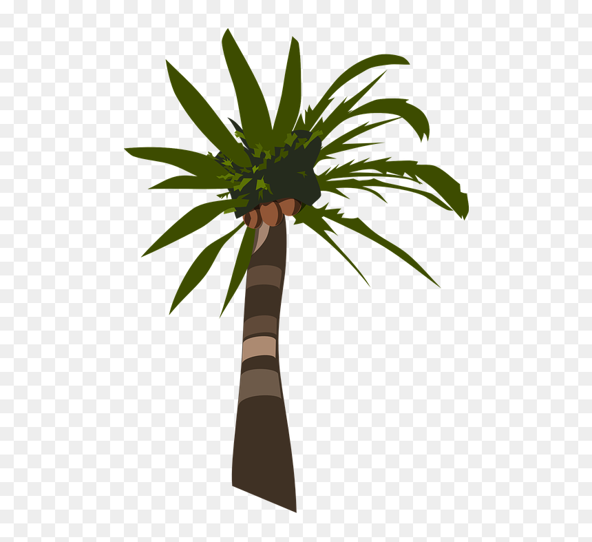 Palm Oil Tree Silhouette, HD Png Download - palmeira png