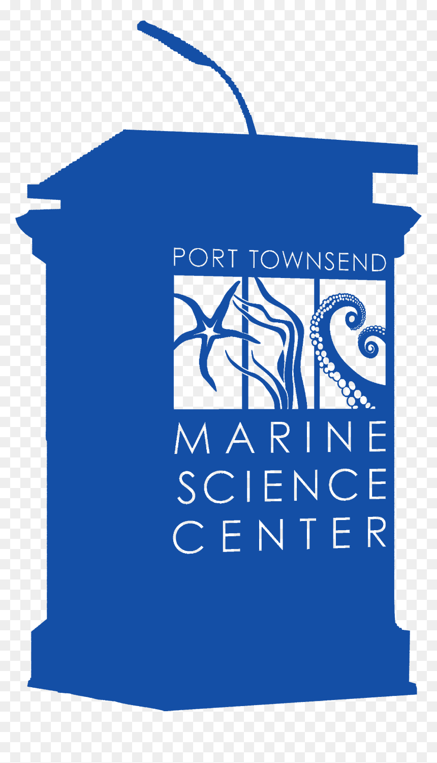 Debating Competition, HD Png Download - phytoplankton png