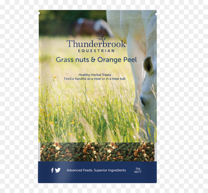 Flyer, HD Png Download - orange peel png