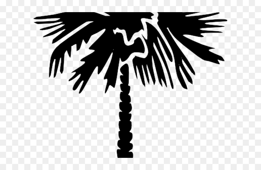 Date Palm Clipart Detailed - Palm Tree Lilly Pulitzer Logo, HD Png Download - palmetto tree png