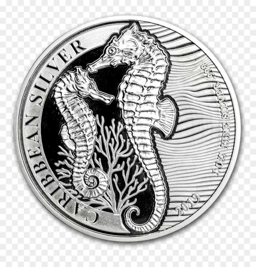 2019 1 Oz Barbados Caribbean Seahorse 999 Silver Bu - Barbados Seahorse Coin 2019, HD Png Download - barbados flag png