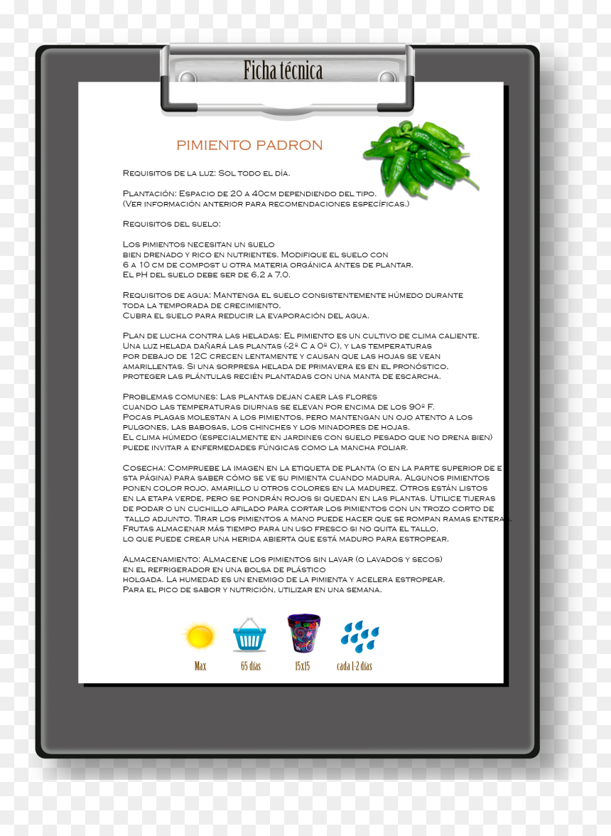 Screenshot, HD Png Download - escarcha png