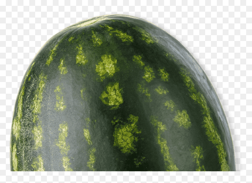 Watermelon, HD Png Download - watermelon vector png