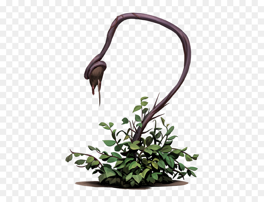 Ikebana, HD Png Download - clash royale hog rider png