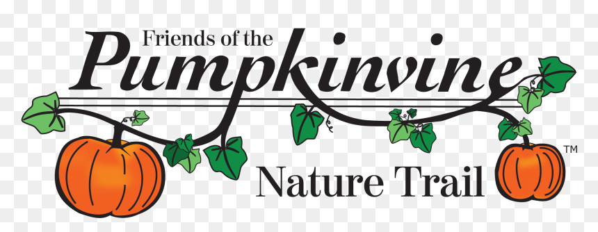 Pumpkin, HD Png Download - natural png