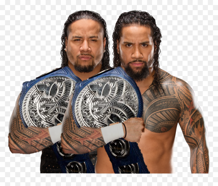 Authors Of Pain Nxt Tag Team Champions , Png Download - Usos Tag Team Champions, Transparent Png - authors of pain png