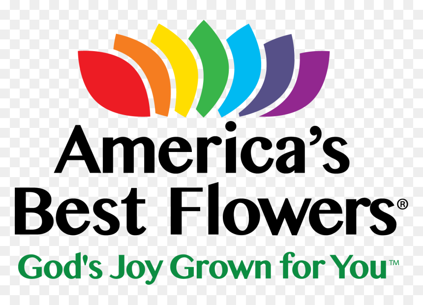 Flowers Top View Png, Transparent Png - flowers top view png
