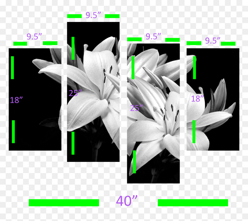 Lily Flower Image Hd, HD Png Download - lillies png