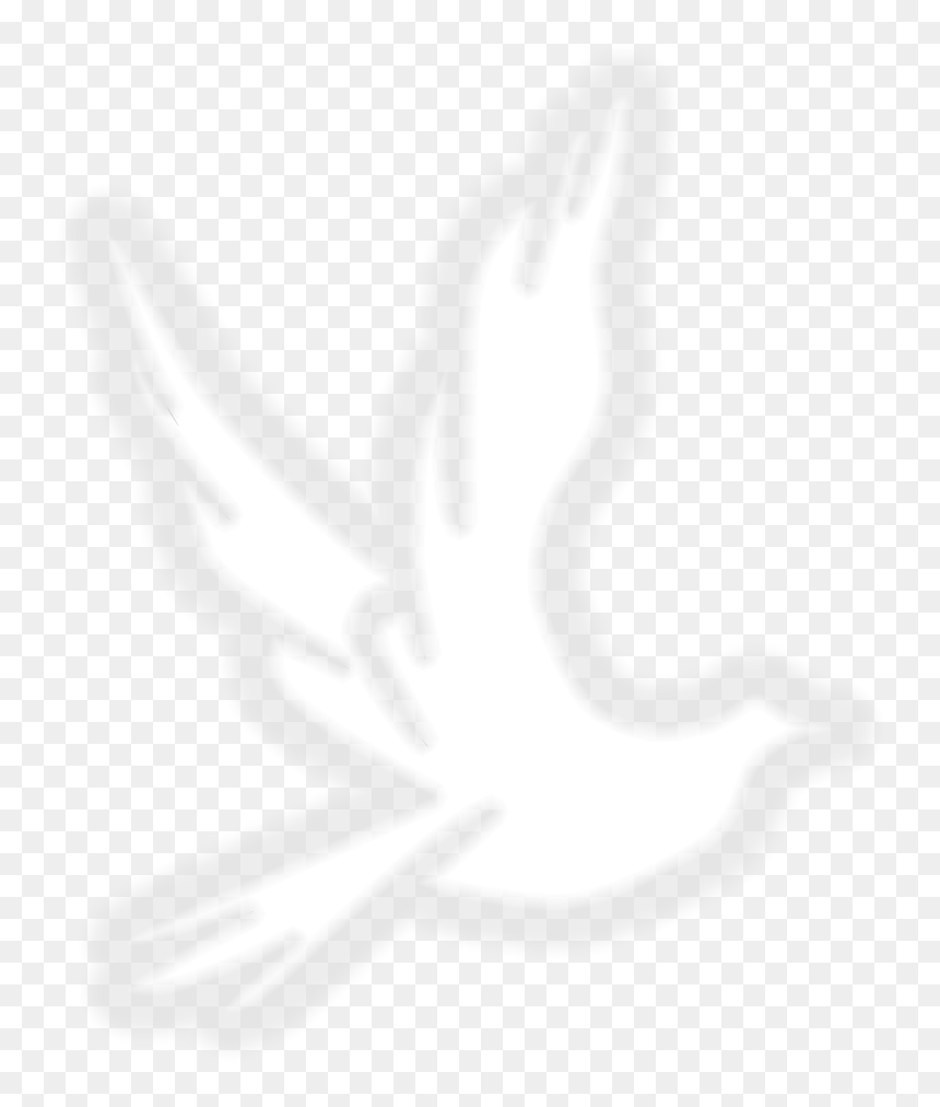 Illustration, HD Png Download - dove outline png