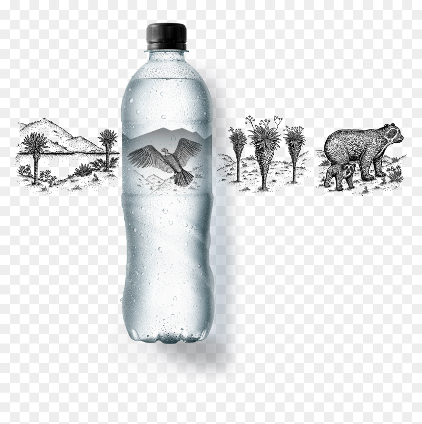 Etiqueta Lg"
 Title="zalva Botella - Agua Zalva, HD Png Download - botella de agua png