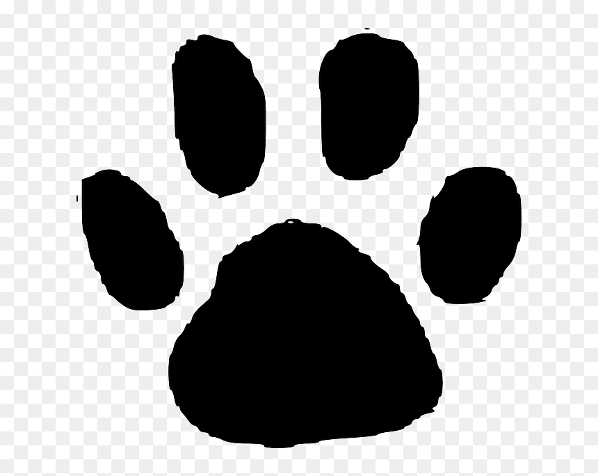 Animal Footprint Clipart, HD Png Download - footprint png